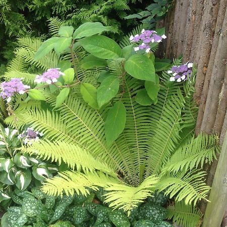 拉霍尔姆Saebyholms Gard住宿加早餐旅馆 外观 照片